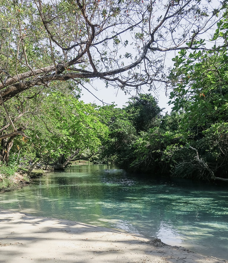 River Frenchman's Cove, Jamaica