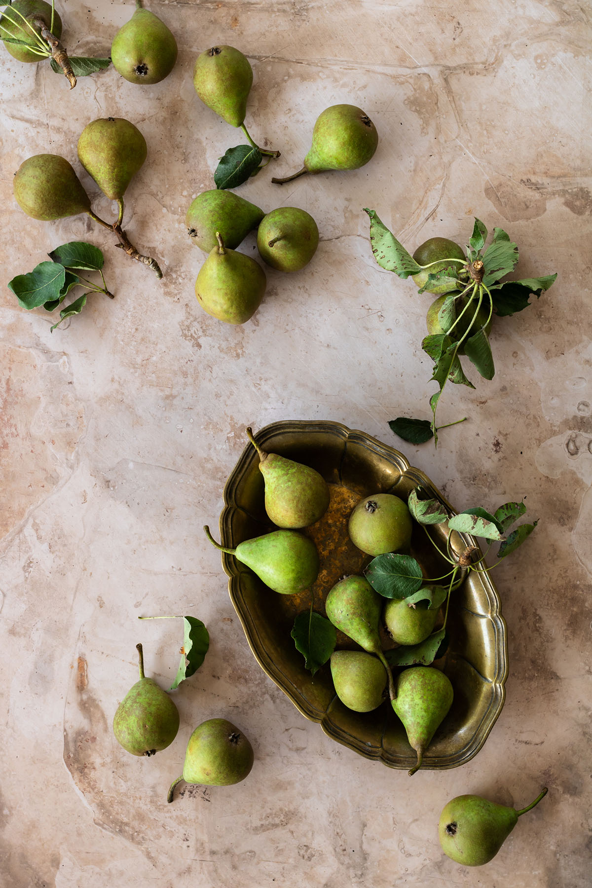 Food photography backdrop 'creamy' is a great catch, beautiful structures and colors