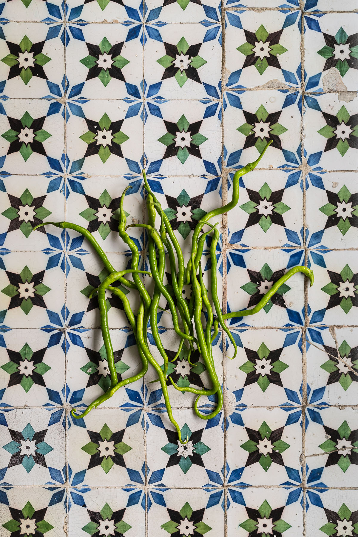 Lisbon crooked tiles vinyl backdrop for video and photography