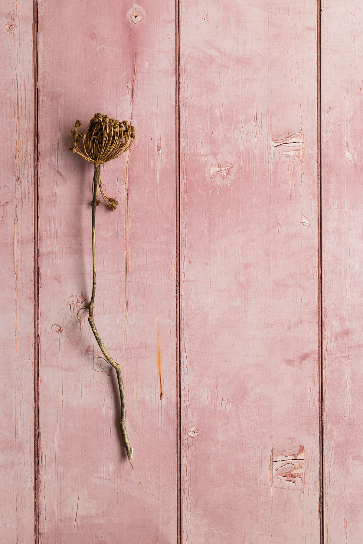 Wooden planks backdrop for food styling, video and photography